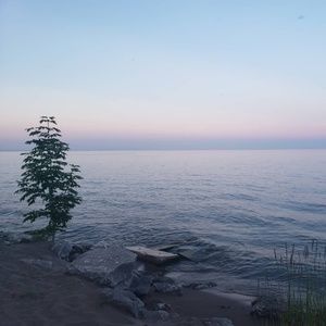 Meet your Posher, Carla